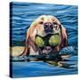 Stretched Canvas