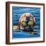 Brown Frame