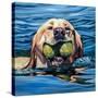 Stretched Canvas