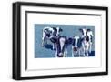 Black Frame