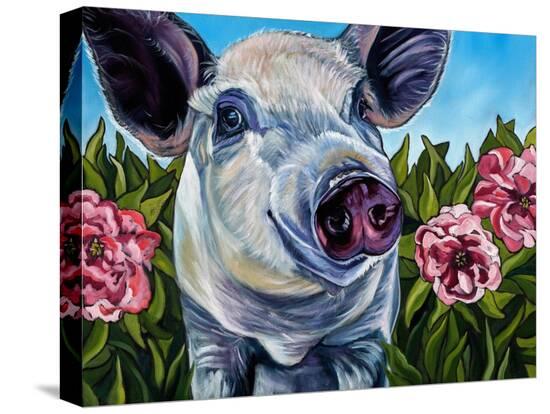Stretched Canvas Print, , large