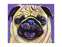 Purple Pug-Kathryn Wronski-Art Print