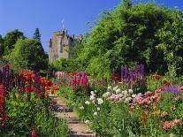 Herbaceous Borders in the Gardens, Crathes Castle, Grampian, Scotland, UK, Europe-Kathy Collins-Photographic Print