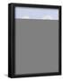 Essential Black