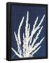 Essential Black