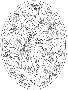 Laminate