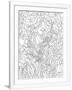 Gramercy White