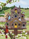 Bird Condo-Kathy Kehoe Bambeck-Giclee Print