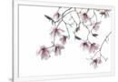 Gramercy White