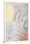 Gramercy White