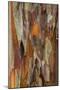 Wood Mount