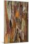 Wood Mount