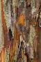 Laminate