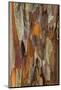 Wood Mount