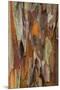 Wood Mount