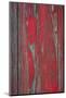 Wood Mount