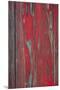 Wood Mount