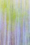 Laminate