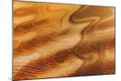Wood Mount