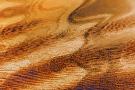 Just the Print
