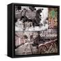 Canvas Black