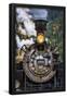 Essential Black
