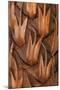 Wood Mount