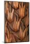 Wood Mount