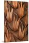 Wood Mount