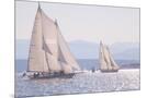 Wood Mount