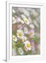Gramercy White