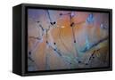 Canvas Black