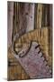 Wood Mount