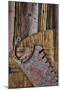 Wood Mount