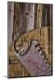Wood Mount