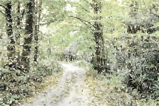 Photographic Print, , large