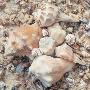 Just the Print