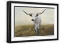 Black Frame