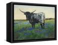 Canvas Black