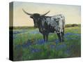Stretched Canvas
