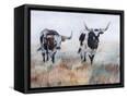 Canvas Black