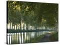 Stretched Canvas