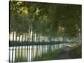Stretched Canvas