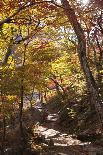 North Korea, Kumgang. Kumgang Mountains in Autumn.-Katie Garrod-Photographic Print