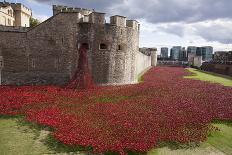 Uk, England, London. Blood Swept Lands and Seas of Red-Katie Garrod-Photographic Print