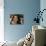 Katie Holmes-null-Photo displayed on a wall