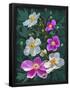 Essential Black