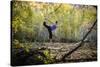 Katie Paulson Practices Yoga Among The Cottonwood Trees In An Autumn Morning In Indian Creek, Utah-Dan Holz-Stretched Canvas