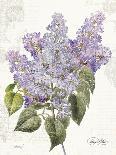 May Lilac on White-Katie Pertiet-Art Print