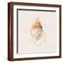 Brown Frame
